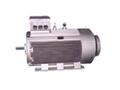 低電壓大功率電機(jī)-大功率電機(jī)