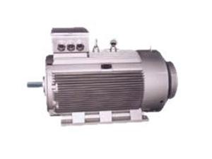 低電壓大功率電機(jī)-大功率電機(jī)