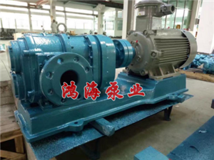 凸輪轉(zhuǎn)子泵