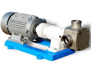 柔性轉(zhuǎn)子泵廠家