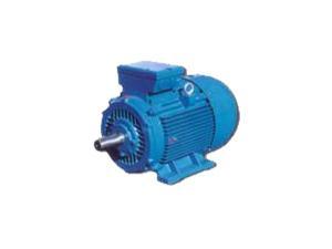 繞線轉(zhuǎn)子電機-YR系列(IP23)繞線轉(zhuǎn)子電機