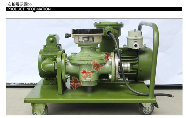 <b>防爆計(jì)量抽油泵</b>