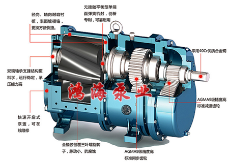 泊頭市鴻海泵業(yè)<strong />HTLB<b>凸輪轉(zhuǎn)子泵</b></strong> / <strong>無堵塞排污泵</strong> / <strong>高粘度轉(zhuǎn)子泵</strong>