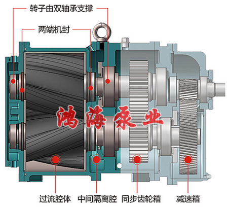泊頭市鴻海泵業(yè)<strong />HTLB<b>凸輪轉(zhuǎn)子泵</b></strong> / <strong>無堵塞排污泵</strong> / <strong>高粘度轉(zhuǎn)子泵</strong>
